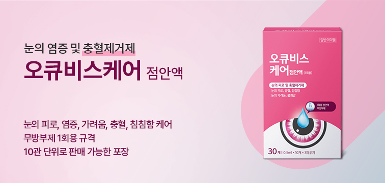 메인 비주얼